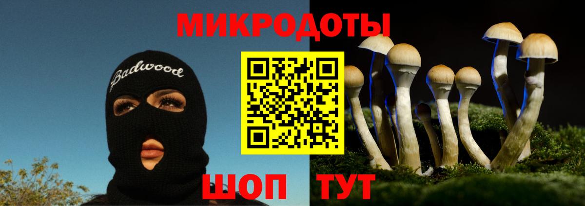 Псилоцибиновые грибы Magic Shrooms  Вход с VPN  Галлюциногенные грибы Magic Shrooms  Ноябрьск 